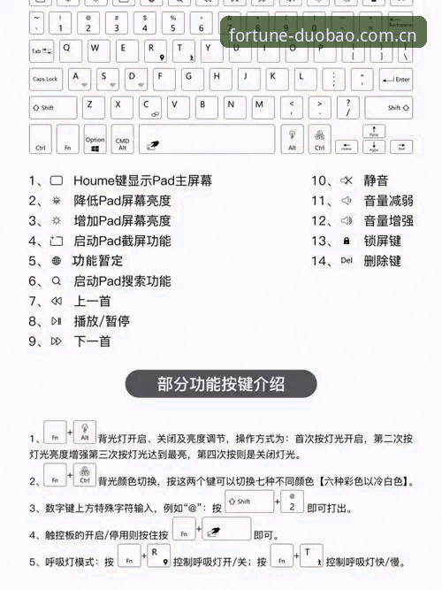 多宝体育电脑版怎么用？资深用户分享的5个实用技巧